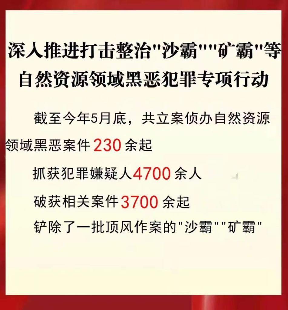 公安機關(guān)打擊整治“沙霸”“礦霸”破案3700余起