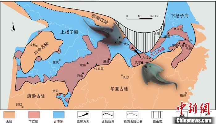 華南地區志留紀早期古地理圖和盔甲魚類化石產地(山顯任改自陳旭、戎嘉余，1996；戎嘉余等，2012) 中科院古脊椎所 供圖