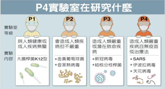 P4實驗室在研究什么。臺灣聯(lián)合新聞網(wǎng)資料圖