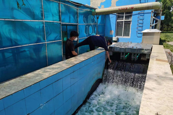 邯鄲市雞澤縣藍(lán)天污水處理廠員工正在出水口進(jìn)行水質(zhì)檢測。鄭佳欣攝