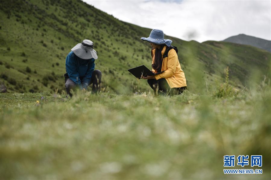 （環境）（8）直擊2020年江源綜合科考