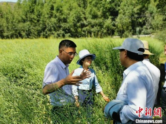 圖為九三學社青海省委主委杜德志(左一)在基層調研。受訪者供圖