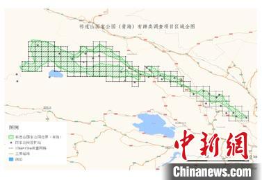 祁連山國家公園首次開展有蹄類動物專項調查