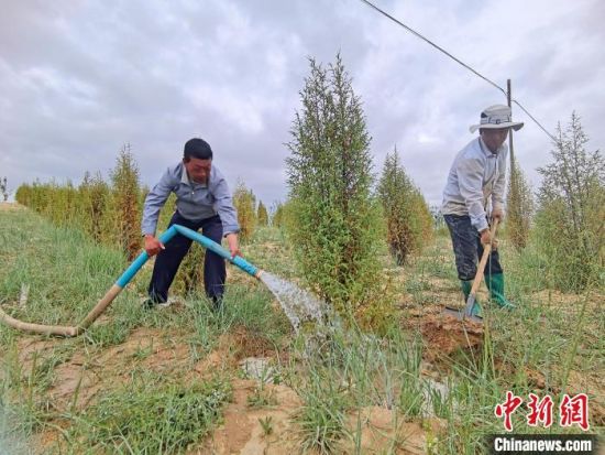 圖為扎西和村民給樹澆水。　祁增蓓　攝