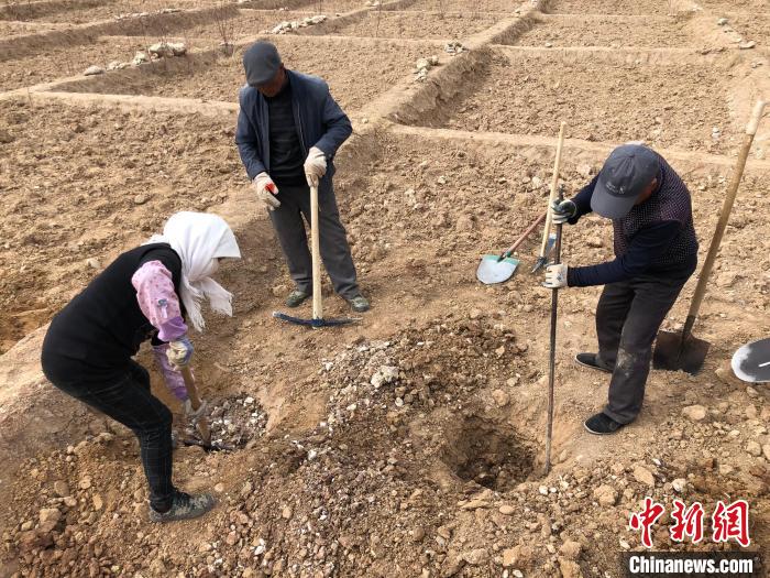 資料圖為建行青海省分行綠化區施工隊隊員處理亂石。　建行青海省分行供圖