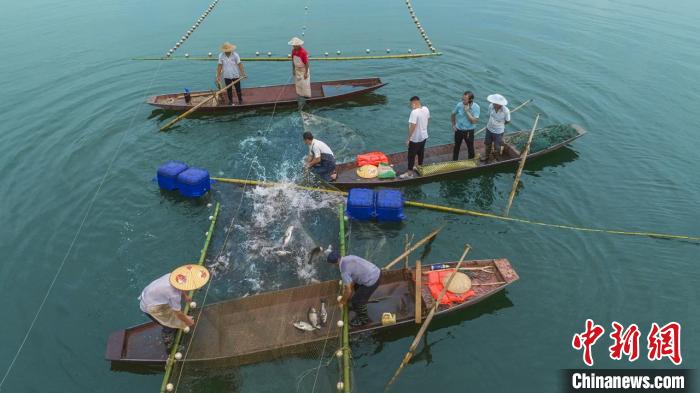 捕魚現場。　主辦方供圖