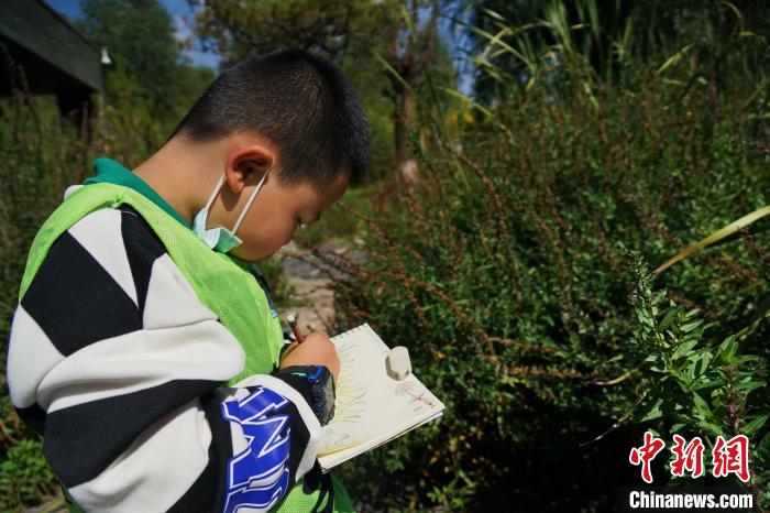 圖為小朋友在青海西寧湟水國(guó)家濕地公園內(nèi)認(rèn)識(shí)植物并進(jìn)行繪畫。　馬銘言 攝