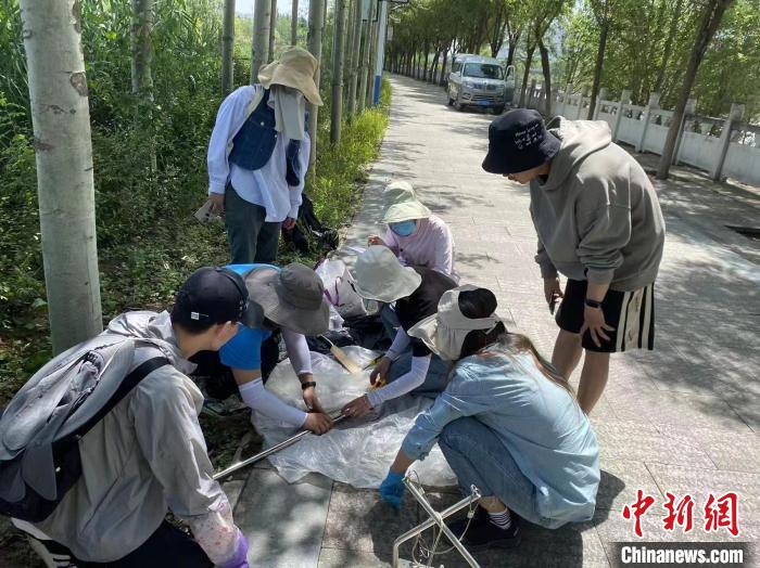 圖為科研人員正在進行監(jiān)測。　西寧湟水國家濕地公園供圖