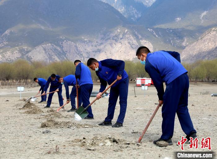 林芝市巴宜區森林消防中隊志愿服務隊正在揮鍬鏟土。　西繞拉翁 攝