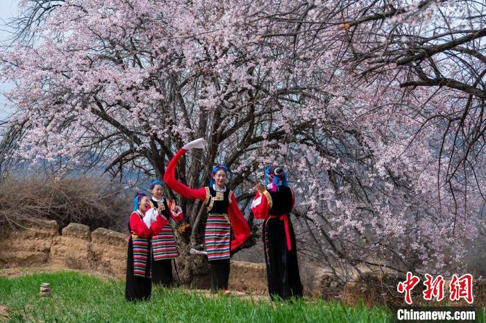 桃花樹(shù)下開(kāi)心玩耍的女孩們。　劉忠俊 攝