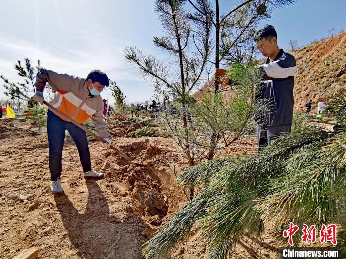 圖為西寧市城東區義務植樹活動現場。　張添福 攝