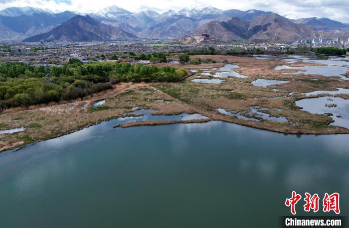 圖為拉薩拉魯濕地。(無(wú)人機(jī)照片) 李林 攝