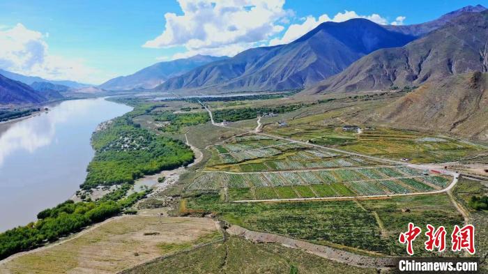 圖為桑日縣葡萄種植基地。　山南桑日縣委宣傳部提供