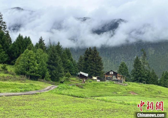 6月10日，魯朗小鎮高山牧場景區風光。　冉文娟 攝