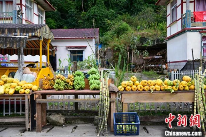 墨脫公路沿線，百姓擺攤銷售當地物產，包含香蕉、甘蔗、檸檬等。(<a target='_blank' href='/'><p  align=